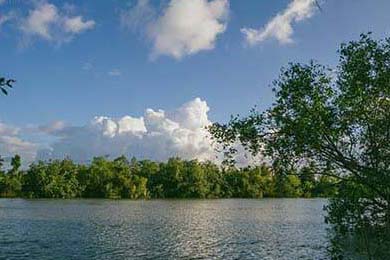 路虎别停奔驰后续：知情人再爆猛料 路虎车价值百万 背景好是个惯犯